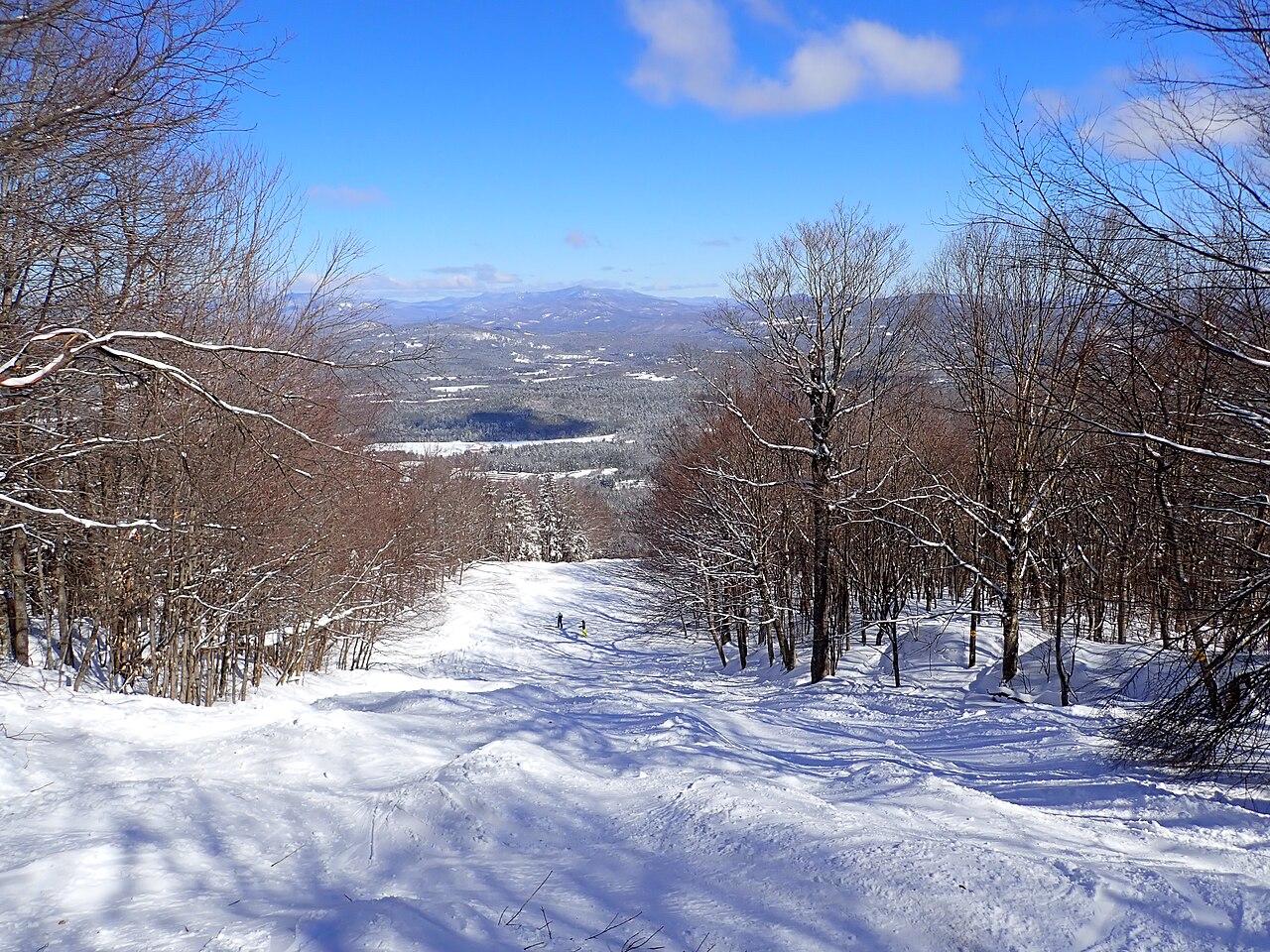 高山滑雪数据观察:数字背后的比赛真相(青训人才视角)